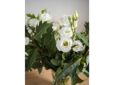 Holiday apartment de Grote Beer - Features photo 18