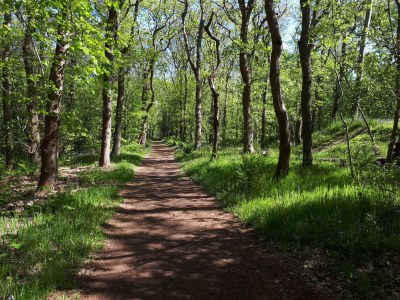 Holiday apartment Knipoog naar zee - Environment photo 16