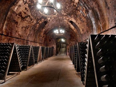 Villa Eco-Villa in Wine Country - Environment photo 37