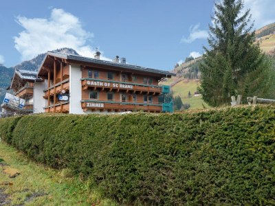 Apartment Wohnung in Wald nahe Zillertal Arena - Outdoor photo 4