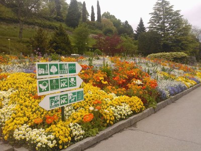 Holiday house Ferienhaus Schuler - Environment photo 17