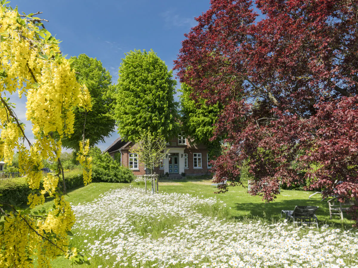 Holiday apartment Summersby Fehmarn - Outdoor photo 2