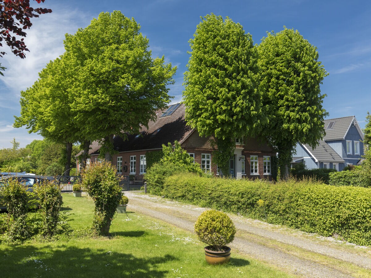 Holiday apartment Summersby Fehmarn - Outdoor photo 4