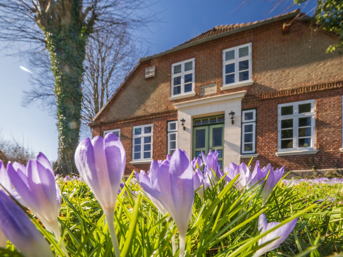 Holiday apartment Summersby Fehmarn - Outdoor photo 5