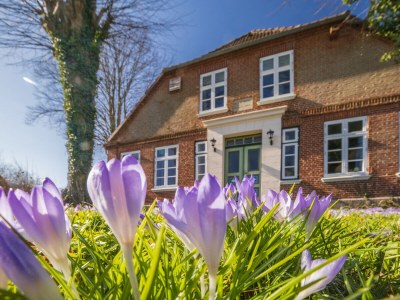 Holiday apartment Summersby Fehmarn - Outdoor photo 5