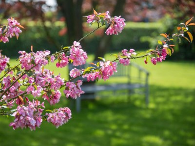 Holiday apartment Summersby Fehmarn - Outdoor photo 7