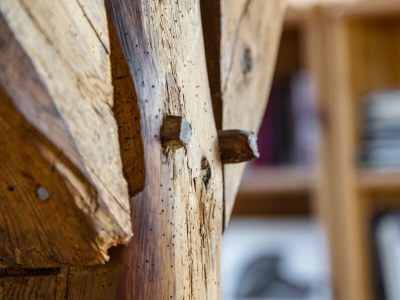 Holiday apartment Summersby Fehmarn - Features photo 22