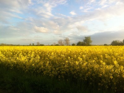 Holiday apartment Summersby Fehmarn - Environment photo 29