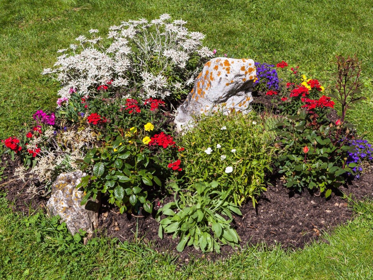 Holiday apartment Atelier - Apt. Stevia - Outdoor photo 3