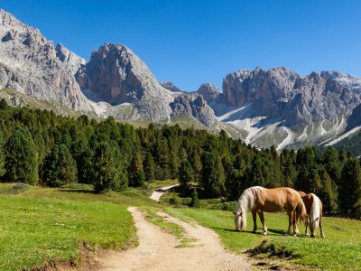 Holiday apartment Atelier - Apt. Stevia - Environment photo 12