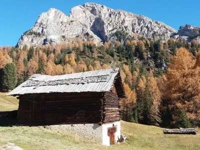 Holiday apartment Atelier - Apt. Stevia - Environment photo 14