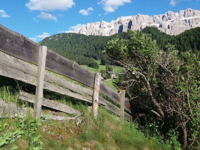 Holiday apartment Atelier - Apt. Stevia - Environment photo 15