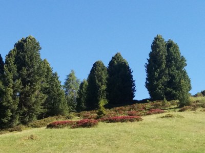 Holiday apartment Atelier - Apt. Stevia - Environment photo 19