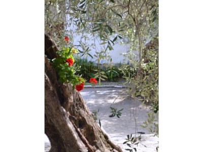 Holiday apartment Cà du Settecentu - Environment photo 19