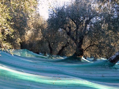 Holiday apartment Cà du Settecentu - Environment photo 20