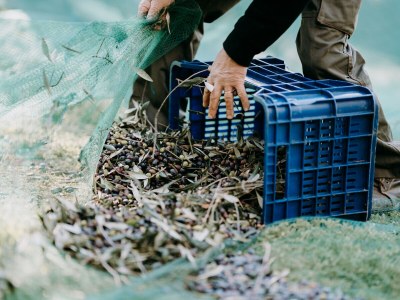 Holiday apartment Cà du Settecentu - Environment photo 31