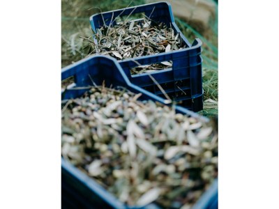 Holiday apartment Cà du Settecentu - Environment photo 33