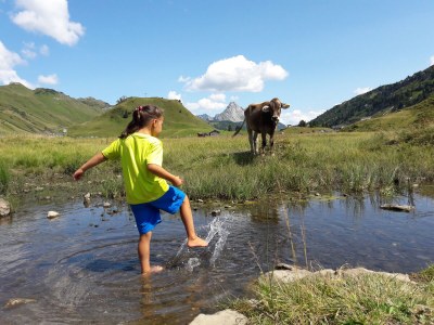 Holiday apartment Apart Greber Bersbuch, Andelsbuch - Outdoor photo 8