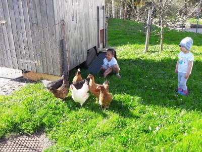 Holiday apartment Apart Greber Bersbuch, Andelsbuch - Environment photo 39