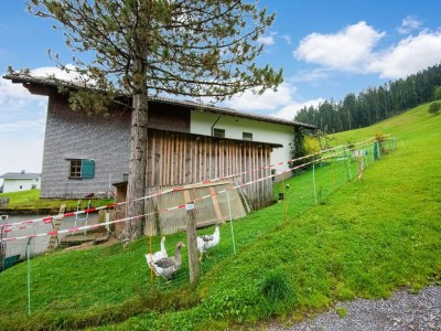 Holiday house Chalet in Schwarzenberg am Skilift - Outdoor photo 2