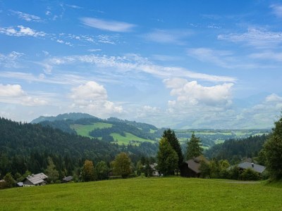 Holiday house Chalet in Schwarzenberg am Skilift - Outdoor photo 7