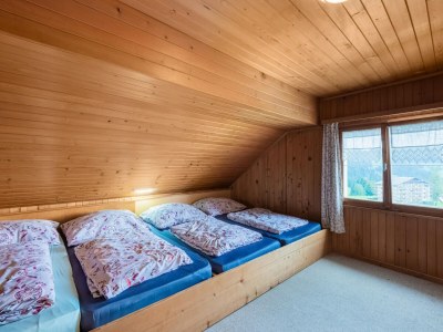 Holiday house Chalet in Schwarzenberg am Skilift - Features photo 28