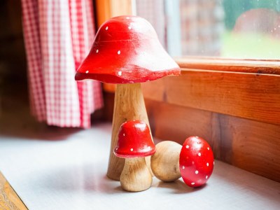 Holiday house Chalet in Schwarzenberg am Skilift - Outdoor photo 39