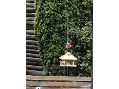 Holiday apartment Familie Krös Erlenweg 7 - Outdoor photo 9