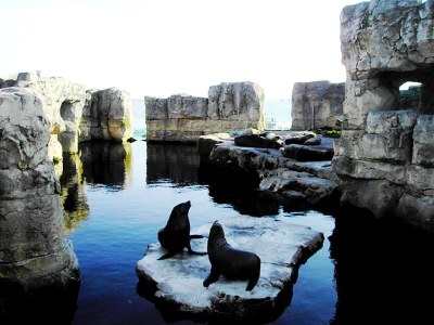 Holiday apartment Familie Krös Erlenweg 7 - Environment photo 17