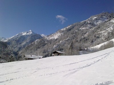 Holiday apartment Haus Kathrin - Environment photo 15