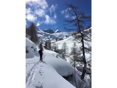 Holiday apartment Haus Kathrin - Environment photo 17