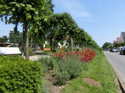 Holiday apartment Am Meer - Outdoor photo 13