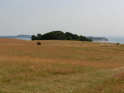 Holiday apartment Am Meer - Environment photo 20