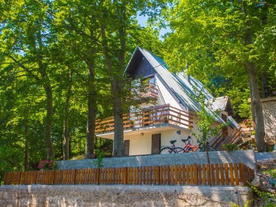 Holiday house Vanda in Zlobin - Holiday house