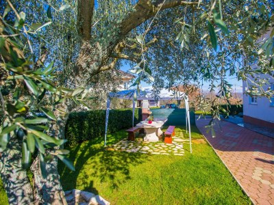 Apartment - Beakovic Apartment with Garden - Outdoor photo 3