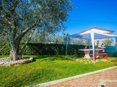 Apartment - Beakovic Apartment with Garden - Features photo 4