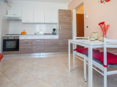 Apartment - Beakovic Apartment with Garden - Features photo 9