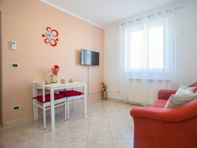 Apartment - Beakovic Apartment with Garden - Features photo 10