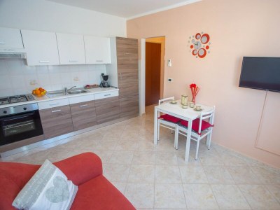 Apartment - Beakovic Apartment with Garden - Features photo 11