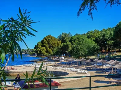 Apartment - Apartment Vera Luxury in the Centre of Porec - Environment photo 25