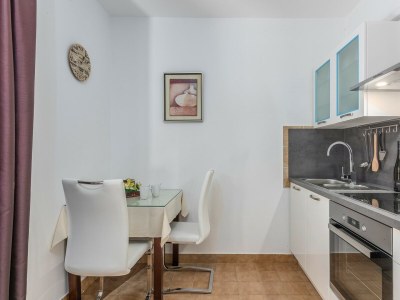 Apartment Rakovac - Ground Floor Apartment A3 with Terrace - Features photo 14