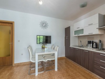 Apartment Rakovac - Two-Bedroom Apartment A5 with Terrace - Features photo 14