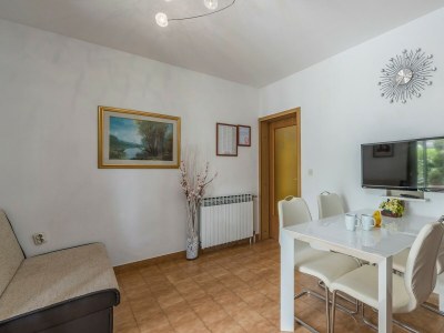Apartment Rakovac - Two-Bedroom Apartment A5 with Terrace - Features photo 19