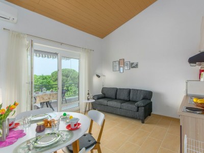 Apartment Apartment Complex Kajic Ljiljana - Studio Apartment Ljiljana II with Balcony and Sea View - Features photo 19