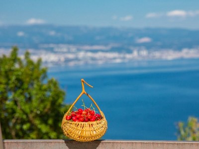 Apartment Jasminka - Apartment No.1 with Balcony and Beautiful Sea View - Outdoor photo 8