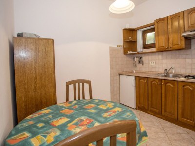 Apartment Apartments Staver - One-Bedroom Apartment  No.1 with Terrace - Features photo 7