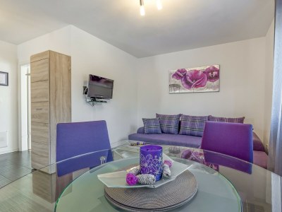 Apartment Kardumovic - One-Bedroom Apartment No.1 Purple - Features photo 9
