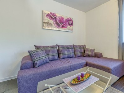 Apartment Kardumovic - One-Bedroom Apartment No.1 Purple - Features photo 10