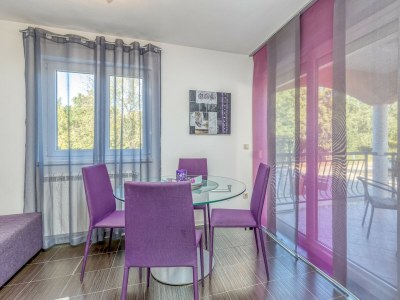 Apartment Kardumovic - One-Bedroom Apartment No.1 Purple - Features photo 12