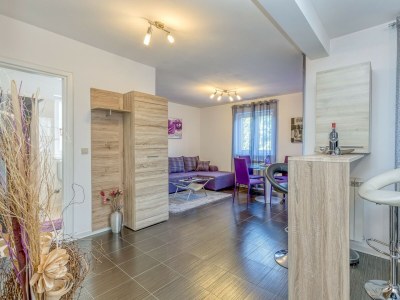 Apartment Kardumovic - One-Bedroom Apartment No.1 Purple - Features photo 13
